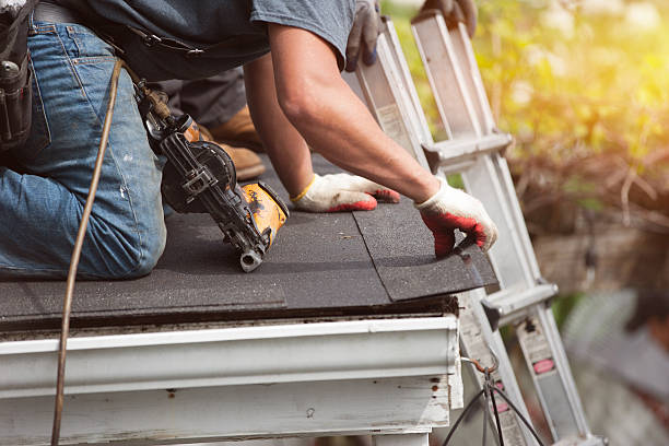 Best Roof Gutter Cleaning  in West Allis, WI
